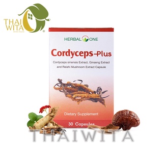 ผลิต 01/2023 ถั่งเช่า ตังถั่งเฉ้าพลัส อ้วยอันโอสถ เฮอร์บัลวัน Cordyceps-Plus 30 แคปซูล ของแท้ 💯