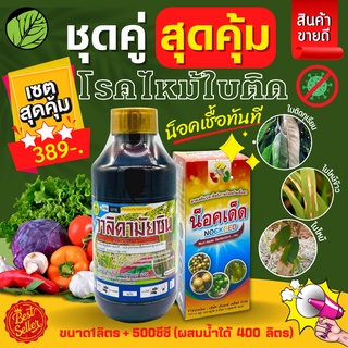 ชุดสุดคุ้ม วาลิดามัยซิน+น็อคเด็ด 1ลิตร+500ซีซี (วาลิดามัยซิน+Non-IonicSerfactant) ป้องกันและกำจัดโรคพืช โรคไหม้ ใบติด