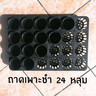 พรัอมส่ง​ 🚜 ถาดเพาะชำ​ ถาดเพาะปลูก​ ถาดเพาะกล้า​ 24​ หลุม