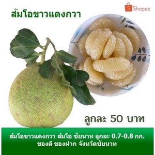 ส้ม ส้มโอ ส้มโอขาวแตงกวา ของฝาก จังหวัดชัยนาท ขนาด 0.7-0.8 กิโลกรัม