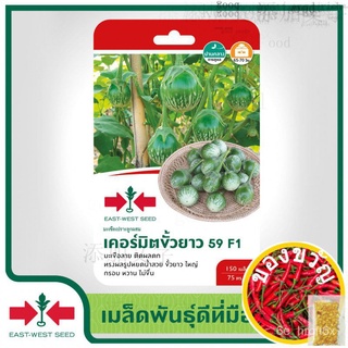 East-West Seed เมล็ดพันธุ์มะเขือเปราะ (Eggplant seeds) เคอร์มิตขั้วยาว 59 F1 เมล็ดพันธุ์ผัก เมล็ดพันธุ์ ผักสวนครัว  ต/เม