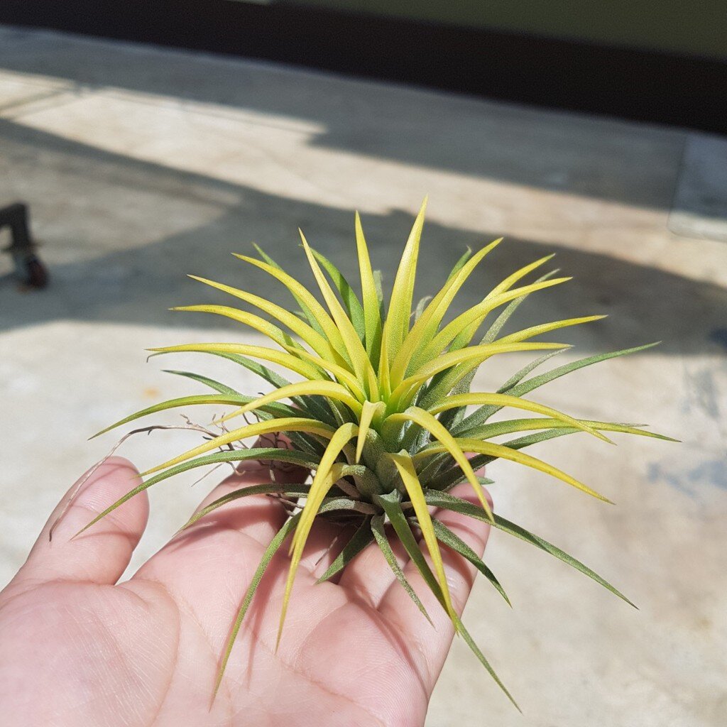 มุมมอง 2