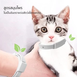 Petcho ปลอกคอกำจัดเห็บหมัด ปลอกคอแมว ปลอกคอสุนัข ปลอดภัย ป้องกันได้ยาวนาน ปลอกคอสัตว์เลี้ยง