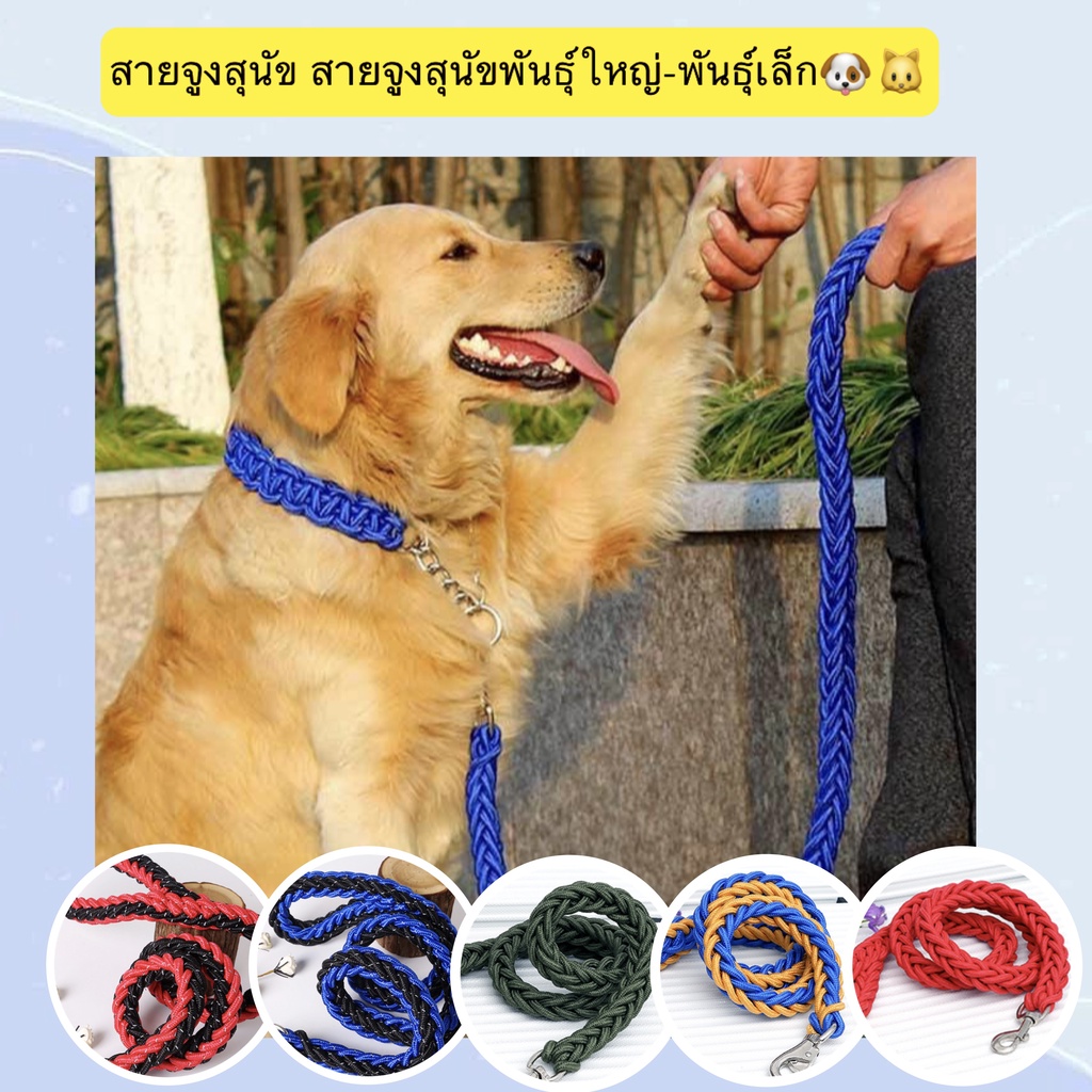 PP-054-1 สายจูงสัตว์เลี้ยง สำหรับสุนัขและแมว ขนาดเล็ก-ใหญ่ มีหลายสีหลายไซส์ ราคาย่อมเยา พร้อมส่ง 💞😍🥰