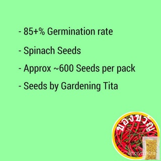 Spinach Seeds (High Germination) 600 seeds手链/花园/园艺/文胸/帽子/男装/通心菜/裙子/木瓜/儿童/ J3HA