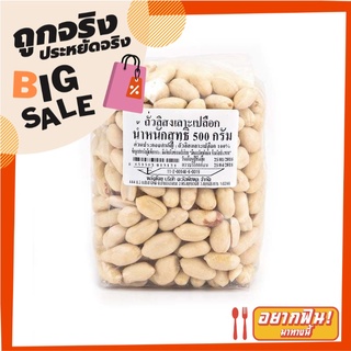 ถั่วลิสง เลาะเปลือก 500 กรัม Peeled Peanuts 500 g