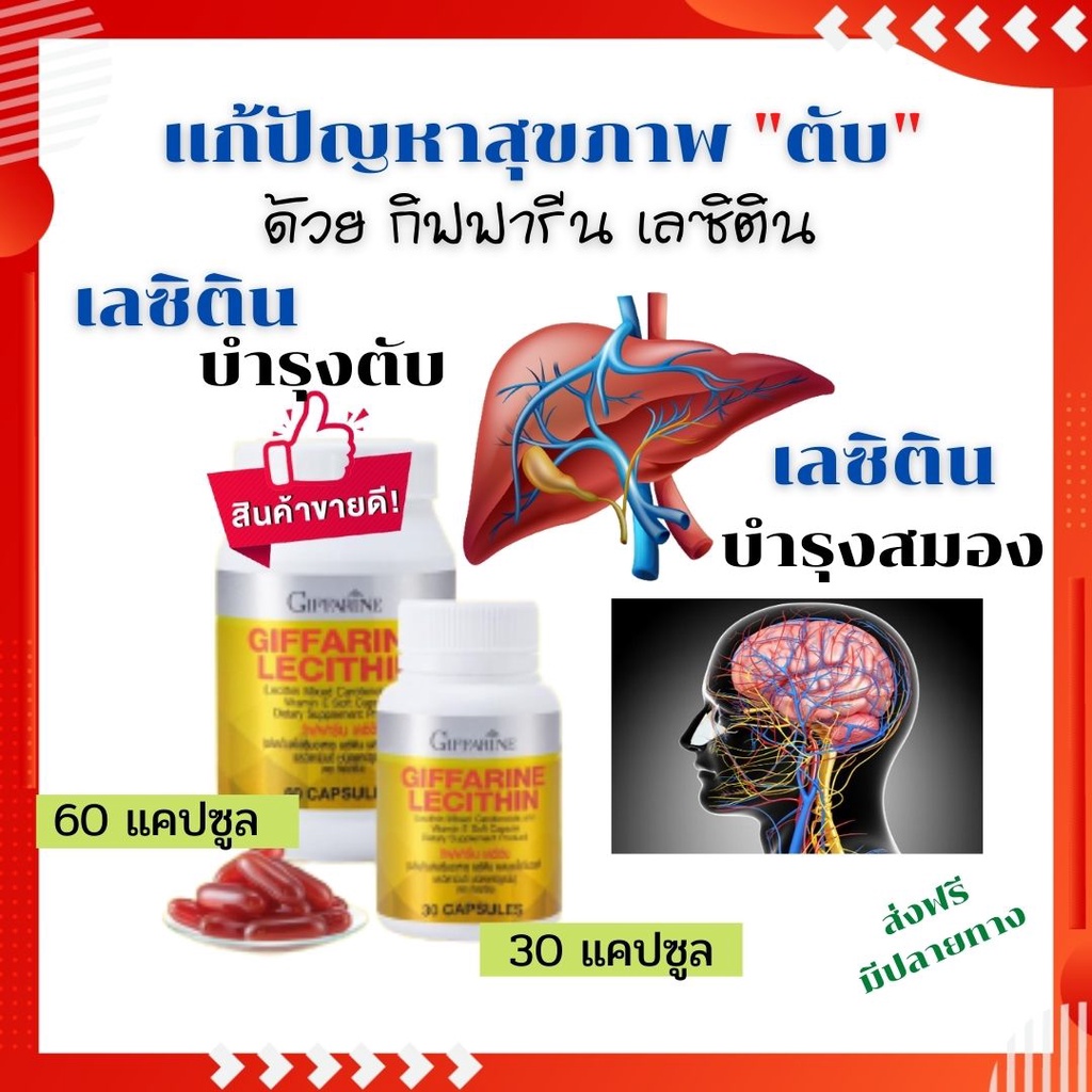 เลซิติน บำรุงตับ เลซิตินกิฟฟารีน เลซิตินอีแอมเวย์ เลซิติน mega เลซิตินอี บำรุงสมอง บำรุงตับล้างสารพิ