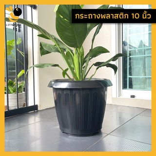 [ กระถาง 10 นิ้ว ] กระถางต้นไม้ ลายโรมัน ขอบบาน มีลาย สีดำ 10" มีลายด้านข้าง กระถางต้นไม้ 10 นิ้ว (รุ่นหนา)