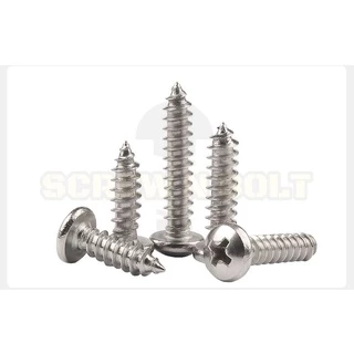 น็อต สกรู หัวกลม หัวแพน แฉก P+ สแตนเลส 304 เกลียวปล่อย ปลายแหลม #6 / Pan Head Phillip Tapping Screw