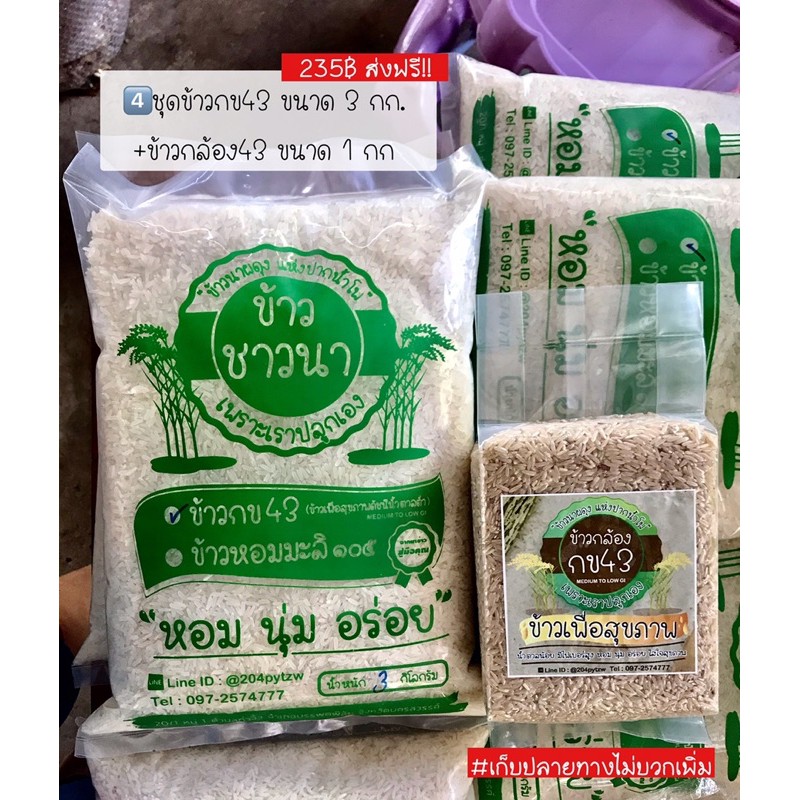 ชุดข้าวกข43+ข้าวกล้องกข43