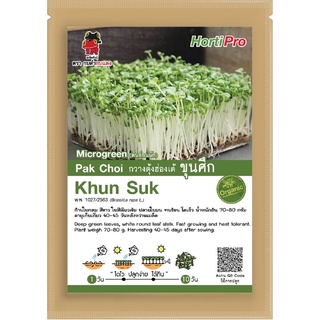 เมล็ดต้นอ่อนกวางตุ้งฮ่องเต้ ขุนศึก Microgreen Pak Choi Khun Suk บรรจุ 10 g.