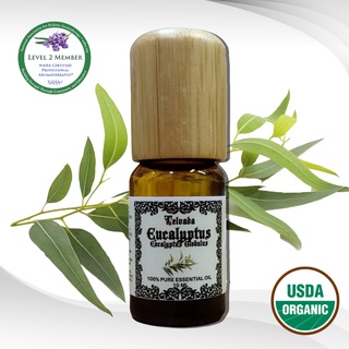 Eucalyptus USDA Organic Essential Oil น้ำมันหอมระเหย ยูคาลิปตัส ออร์แกนิค