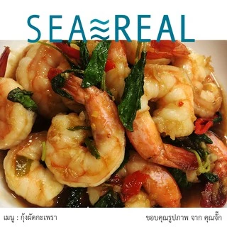 Seareal กุ้งขาวสดแช่แข็งแกะเปลือกผ่าหลังไว้หาง น้ำหนักกุ้ง100% Frozen Raw Shrimp PDTO Net weight100%