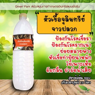 หัวเชื้อ จุลินทรีย์จาวปลวก สูตรเข้มข้น ตรา Green Park ขวดใหญ…