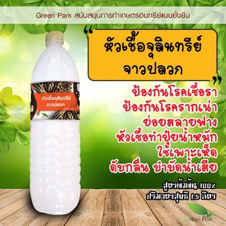 หัวเชื้อ จุลินทรีย์จาวปลวก สูตรเข้มข้น ตรา Green Park ขวดใหญ่  1.5 ลิตร ป้องกันเชื้อรา โรครากเน่า หัวเชื้อปุ๋ย ย่อยฟาง