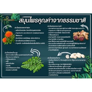 idea กาแฟสมุนไพร ไอเดีย 7in1 ปราศจากน้ำตาล ใช้สารสกัดจากธรรมชาติ ดีต่อสุภาพ (บรรจุ22 ซอง)