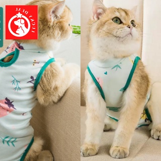 เสื้อแมวทำหมัน เสื้อแมวผ่าตัด สุนัขทำหมัน เสื้อแมวกันเลีย