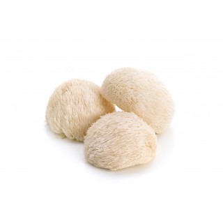 ผงเห็ดยามาบูชิตาเกะ yamabushitake 25g 006323