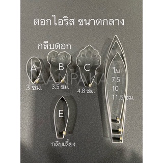 พิมพ์ตัดดอกไอริสขนาดกลางและอัดลาย