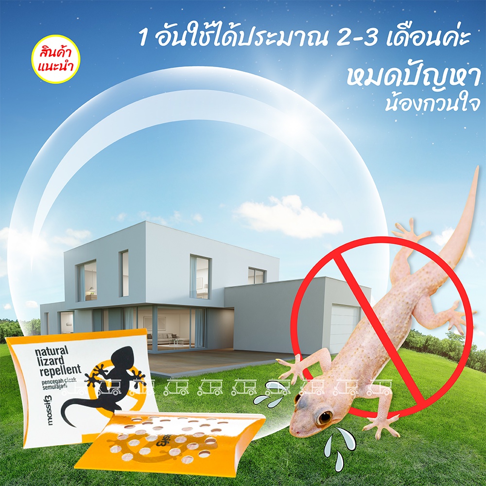 ผงไล่จิ้งจก ผลิตจาก​ธรรมชาติ​ 100% Mossif3 ไล่จิ้งจก ไล่จิ้งจกในบ้าน ผลิตจากธรรมชาติ ใช้ง่าย สะดวก