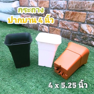 กระถาง สี่เหลี่ยม ปากบาน 4 นิ้ว // กด 12 ใบ 250 บาท -- กระถาง 4 นิ้ว -- แคคตัส กระบองเพชร พลาสติก