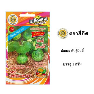 เมล็ดพันธ์ุ ฟักทอง พันธุ์มินนี่ 1 กรัม/ซอง ตราสี่ทิศ