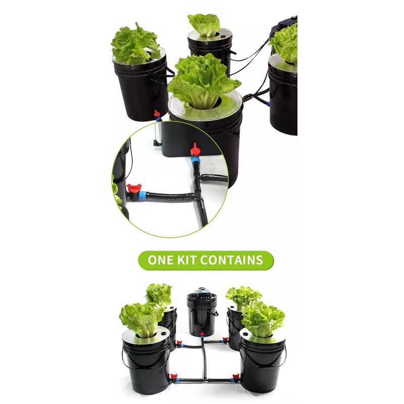 ชุดปลูกครบเซ็ท Hydroponic Grow System Deep Water Culture (DWC) Complete Kit (4 Bucket + Reservoir Kit) full set ราคา ถูกที่สุด ดีลบีเคเค แกลเลอรีภาพที่ 4