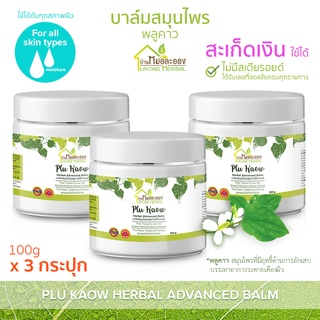 บ้านหมอละออง บาล์มสมุนไพร พลูคาว 100g บาล์ม สะเก็ดเงินใช้ได้ คุณค่าพิเศษที่ธรรมชาติมอบให้ บาล์มพลูคาว แอ๊ดวานซ์ Advanced