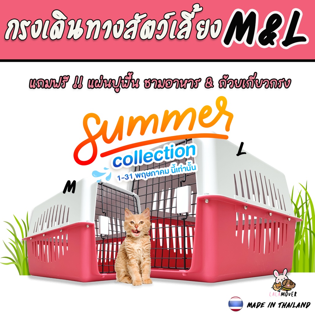 กล่องเดินทางสัตว์เลี้ยง กรงหิ้วแมว กรงเดินทาง กรงหิ้วหมา กรงใส่สัตว์เลี้ยง มีรับประกัน ไซส์M