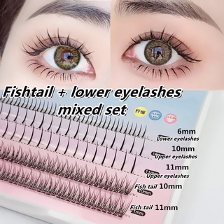 ร้อนขายเดี่ยวคลัสเตอร์ห้าแถวขนตาปลอมFishtail +บนและล่างขนตาปลอมผสมตนเองปลูกถ่ายอวัยวะขนตาเครื่องมือความงาม