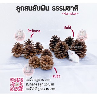 ลูกสน สน ลับฟันสัตว์เลี้ยง ที่ลับฟัน สำหรับแฮมสเตอร์⚠️ขั้นต่ำ50บาทสั่งรวมกับอย่างอื่นได้⚠️