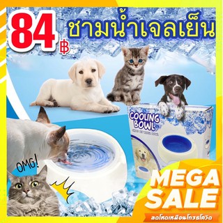 ชามใส่น้ำ เจลเย็น ดับร้อน สำหรับน้องหมา น้องแมว  Cooling Bowl