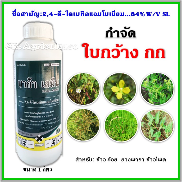 บาก้า เอมีน 2,4-ดี ไดเมทิลแอมโมเนียม ยาฆ่าหญ้า สารกำจัดวัชพืช ใบกว้าง กก 2,4-ดี 24d น้ำ ขนาด 1 ลิตร 