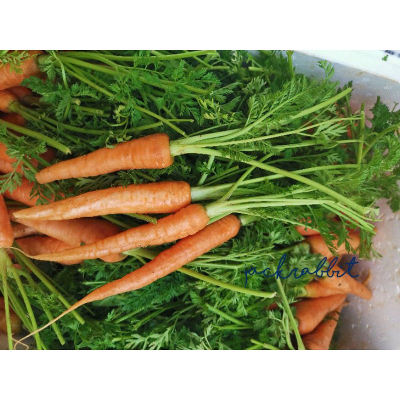 🥕เบบี้แครอทจิ๋วสด babycarrot ทานสด 500 กรัม