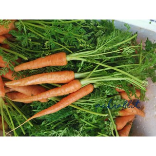 🥕เบบี้แครอทจิ๋วสด babycarrot ทานสด 500 กรัม