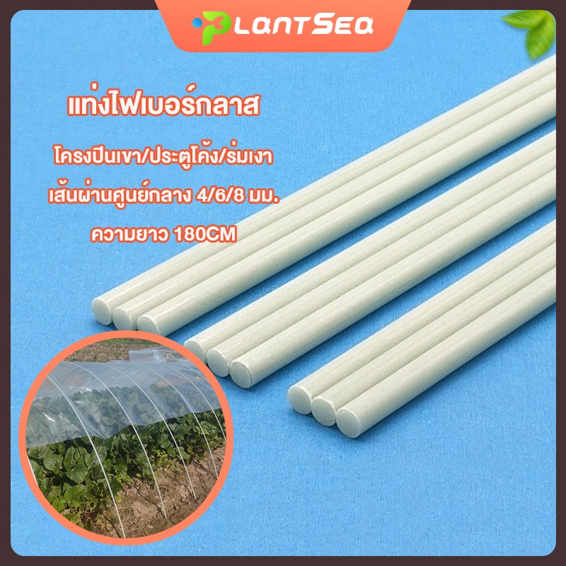 PS.Fiberglass rod เส้นผ่านศูนย์กลาง 4/6/8 มม. ความยาว 180cm ไม้ค้ำต้น หลักเลื้อย เสาต้น ยันต้น