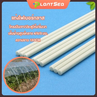 PS.Fiberglass rod เส้นผ่านศูนย์กลาง 4/6/8 มม. ความยาว 180cm ไม้ค้ำต้นไม้  หลักไม้เลื้อย  เสาต้นไม้  ไม้ค้ำยันต้นไม้