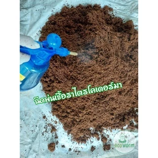 ขุยมะพร้าว+ล้างสาร (Coco Peat pH 5.5-6.5) 🏝 +ไตรโคเดอร์มา (5Kg.) พร้อมใช้ทันทีไม่ต้องแช่เพิ่ม