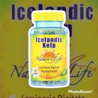 Natures Life, Icelandic Kelp, 250 Tablets