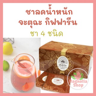 ชาลดน้ำหนัก จะตุฉะ กิฟฟารีน Jatu Cha Giffarine Weight loss teas ชาขาว ชาเขียว ชาดำ ชาอู่หลง ชงง่าย ไม่มีน้ำตาล