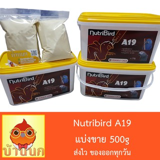 Nutribird A19 500g อาหารนกลูกป้อน สำหรับลูกนกที่ต้องการพลังงานไขมันสูง แบบแบ่งชั่ง