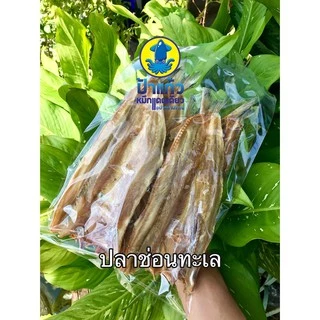 ปลาช่อนทะเล (ใหญ่) สดใหม่ ทอดได้ ย่างได้ กินกับข้าวสวย ข้าวเหนียว อร่อย