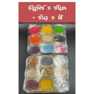 สดใหม่!! ธัญพืช 9 ชนิด/ข้าวสาร 9 สี ไหว้บูชา พระพิฆเนศ องค์เทพ บูชาแม่สาริกา ธัญพืช ของบูชาพระพิฆเนศ