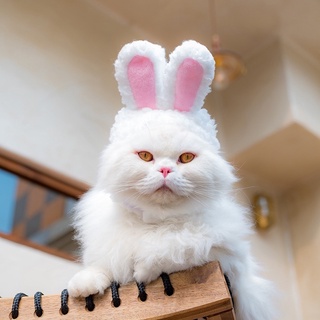 หมวกหูกระต่ายทาสหมาแมวต้องมี พร้อมส่ง