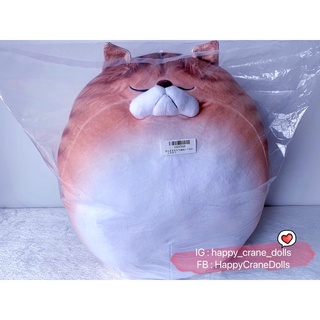 ตุ๊กตาแมว (ไซส์ใหญ่) Round Soft Cat Plushy Tabby Cat 🇯🇵ตุ๊กตานำเข้าจากญี่ปุ่น🇯🇵