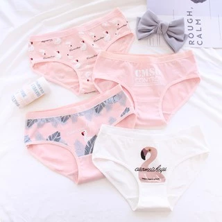 พร้อมส่ง 🔥กางเกงในผู้หญิง Flamingo รุ่นขอบสูง มีซองทุกตัว B11