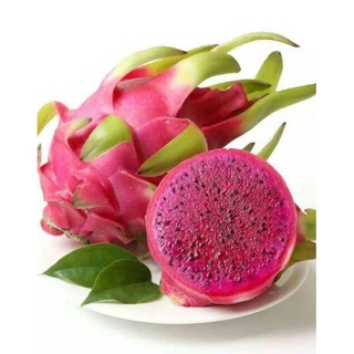 10 เมล็ด เมล็ดแก้วมังกร (Pitaya) Dragon fruit พันธุ์ไต้หวัน