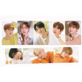 (พร้อมส่ง) stray kids card nacific set2ใบ