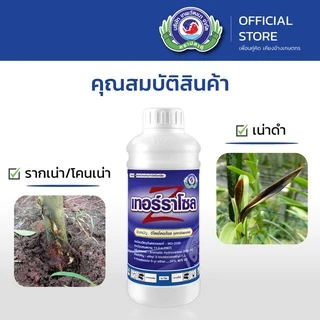 เทอร์ราโซล ขนาด 1 ลิตร│เทพวัฒนา ตราปลาคู่│ยาเชื้อรา สารป้องกันกำจัดโรคพืช (ราเน่าโคนเน่า ไฟท๊อปเทอร่า)