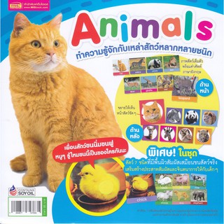 การ์ด Animal (ขนฟู) ทำความรู้จักกับเหล่าสัตว์หลากหลายชนิด